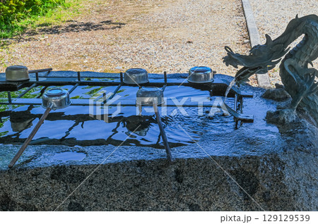 龍の手水舎 龍の手水舎 129129539