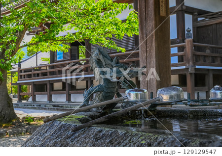 龍の手水舎 龍の手水舎 129129547