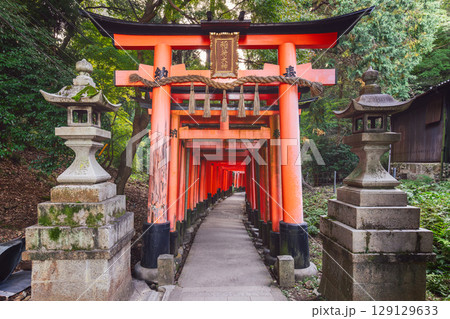 Path through iconic red torii gates at Fushimi Inari Taisha framed by stone lanterns Path through iconic red torii gates at Fushimi Inari Taisha framed by stone lanterns 129129633