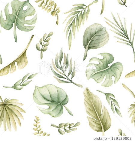 Tropical Monstera Palm Leaves Exotic green plants Watercolor hand painted summer pastel neutral seamless pattern on white background for cute nursery wall kids baby cloth textile fabric wrapping paper Tropical Monstera Palm Leaves Exotic green plants Watercolor hand painted summer pastel neutral seamless pattern on white background for cute nursery wall kids baby cloth textile fabric wrapping paper 129129802