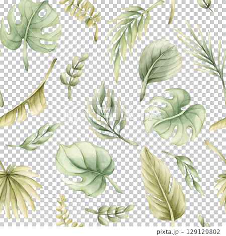 Tropical Monstera Palm Leaves Exotic green plants Watercolor hand painted summer pastel neutral seamless pattern on white background for cute nursery wall kids baby cloth textile fabric wrapping paper Tropical Monstera Palm Leaves Exotic green plants Watercolor hand painted summer pastel neutral seamless pattern on white background for cute nursery wall kids baby cloth textile fabric wrapping paper 129129802