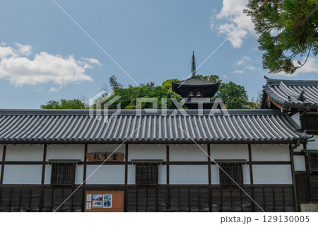 奈良県の古刹「当麻寺」 129130005