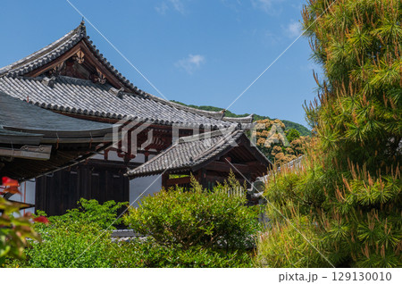 奈良県の古刹「当麻寺」 129130010
