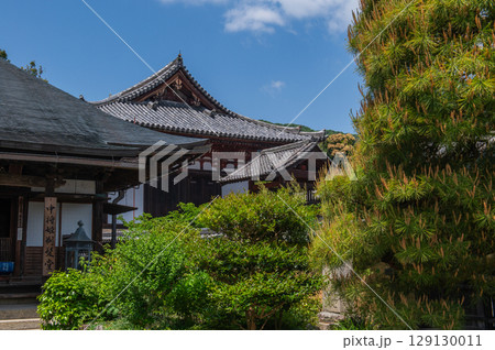 奈良県の古刹「当麻寺」 129130011