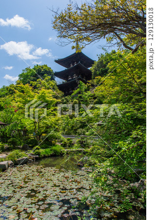 奈良県の古刹「当麻寺」 奈良県の古刹「当麻寺」 129130018