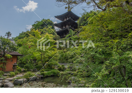 奈良県の古刹「当麻寺」 129130019