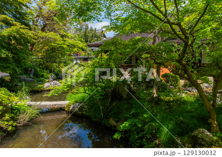 奈良県の古刹「当麻寺」 129130032