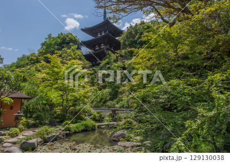 奈良県の古刹「当麻寺」 129130038