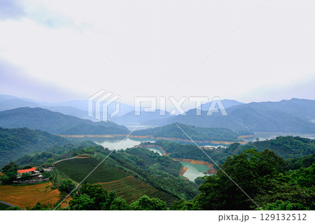 Stunning Ba Gua Tea Garden and Feitsui Reservoir in Shiding, Taiwan. 129132512