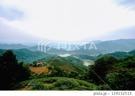 Scenic Foggy Tea Gardens in Shiding District, New Taipei City Taiwan. Scenic Foggy Tea Gardens in Shiding District, New Taipei City Taiwan. 129132513