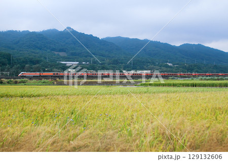 Taiwan Railways Express Train by Miaoli Houlong Longgang Rice Fields. Taiwan Railways Express Train by Miaoli Houlong Longgang Rice Fields. 129132606