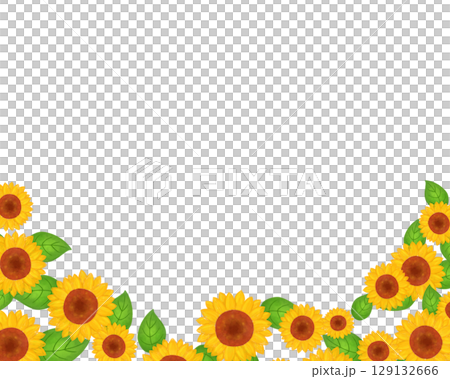大人っぽい向日葵のフレーム素材　夏のチラシ・SNS・文書デザインに使える落ち着いた花の囲み枠素材 129132666