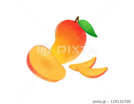 水彩風のマンゴーイラスト素材　明るく爽やかなデザイン　トロピカルでナチュラルなフルーツ素材 129132700
