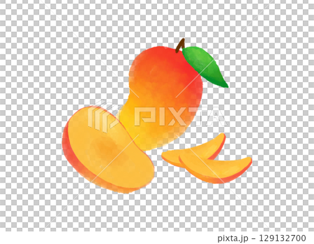 水彩風のマンゴーイラスト素材　明るく爽やかなデザイン　トロピカルでナチュラルなフルーツ素材 129132700