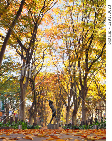 秋の仙台定禅寺通(宮城県仙台市) 秋の仙台定禅寺通(宮城県仙台市) 129133023