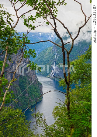 geirangerfjord framed by forest trees and seven sisters waterfall 129133587