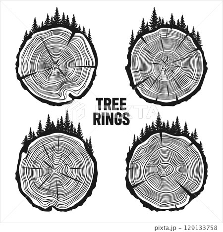 Round tree trunk cuts with trees and forest....のイラスト素材 [129133758] - PIXTA