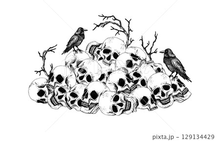 Black crows sit on a pile of skulls with dry branches. Graphics illustration with white background. Hand drawn vector in Gothic style for Halloween, Day of the Dead. For packaging, postcards, decor 129134429