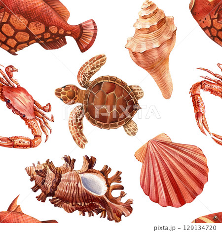 Seamless watercolor pattern with red crabs sea turtle shells tropical fish and ocean animals on white background 129134720