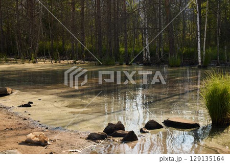 A Peaceful and Tranquil Nature Scene Featuring Beautiful Reflections in a Serene Pond 129135164