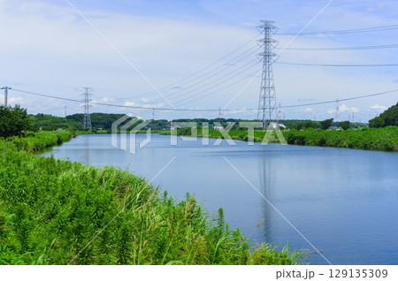 千葉県八千代市新川サイクリングロード沿線2025年7月 129135309