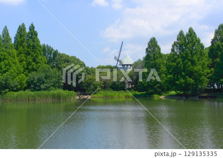 埼玉県松伏町松伏総合公園周辺2025年7月 埼玉県松伏町松伏総合公園周辺2025年7月 129135335