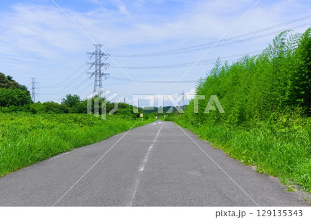 千葉県千葉市花見川サイクリングロード沿線2025年7月 129135343