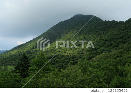 緑の山肌と雲に覆われた山頂 緑の山肌と雲に覆われた山頂 129135491