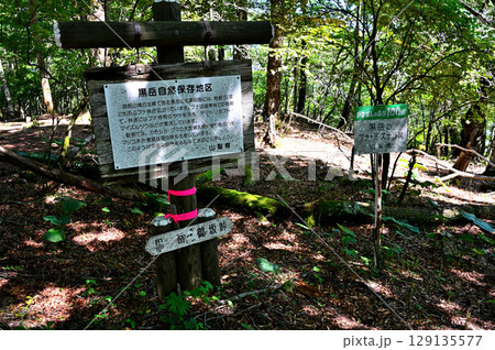 御坂山地　やまなしの森林百選の黒岳の森 129135577