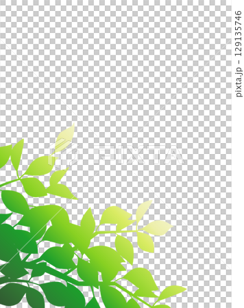 A vertical version that expresses the light and shadow of leaves with a green gradient. 129135746