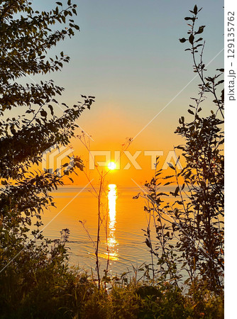 View of sunset over the sea through the tree branches. The sun sets on the water. The sky is painted with bright colors. Sunset beach in summer evening. Vertical photography. 129135762