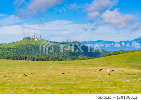【長野県】美ヶ原高原・牛伏山から王ヶ頭を見る 129136012