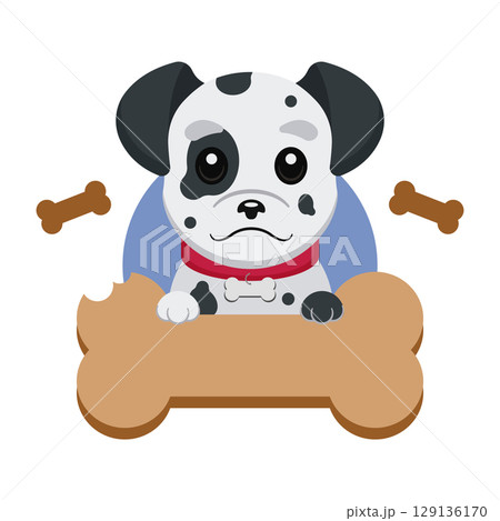 Spotted dalmatian with bone. Vector Spotted dalmatian with bone. Vector 129136170