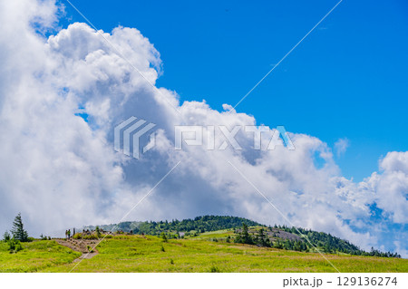 【長野県】美ヶ原高原・牛伏山遊歩道を歩く人達 【長野県】美ヶ原高原・牛伏山遊歩道を歩く人達 129136274