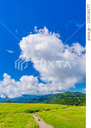 【長野県】美ヶ原高原・牛伏山遊歩道を歩く人達 129136277