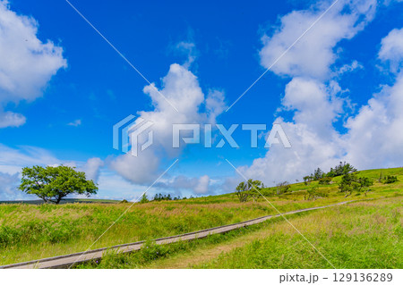【長野県】美ヶ原高原・牛伏山遊歩道を歩く人達 129136289