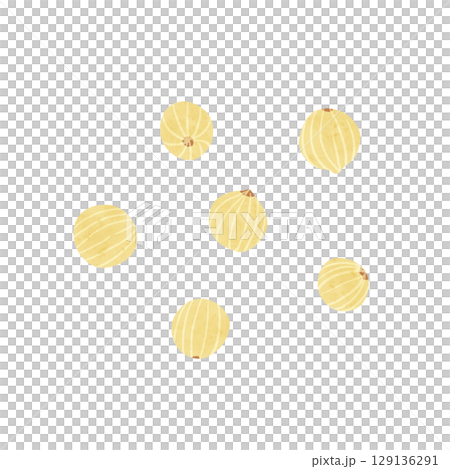 白胡椒水彩手繪插畫 129136291