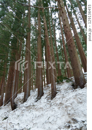 25330秋山郷前倉、結東 129136455