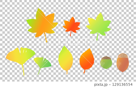 かわいい秋の植物のイラスト素材　紅葉_もみじ_イチョウ_どんぐり 129136554
