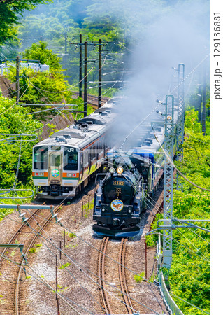 C61牽引のSLぐんま みなかみ と211系電車がすれ違う（水上-上牧） 129136881