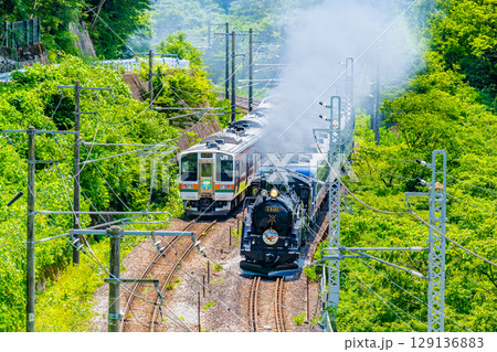 C61牽引のSLぐんま みなかみ と211系電車がすれ違う（水上-上牧） 129136883