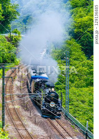 C61牽引のSLぐんま みなかみ(水上-上牧) C61牽引のSLぐんま みなかみ(水上-上牧) 129136885
