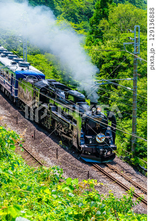 C61牽引のSLぐんま みなかみ(水上-上牧) C61牽引のSLぐんま みなかみ(水上-上牧) 129136888