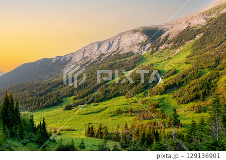 Alpine meadows and forest on mountain slopes in sunset light. Alpine meadows and forest on mountain slopes in sunset light. 129136901