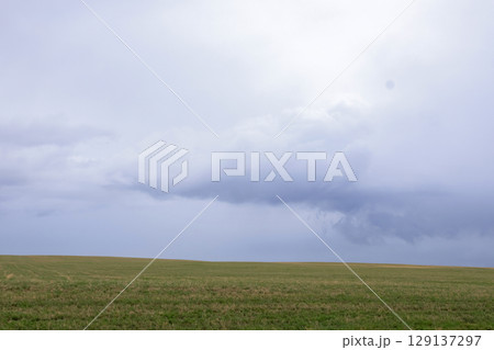 Field with green grass and overcast sky, rainy in the horizon. 129137297