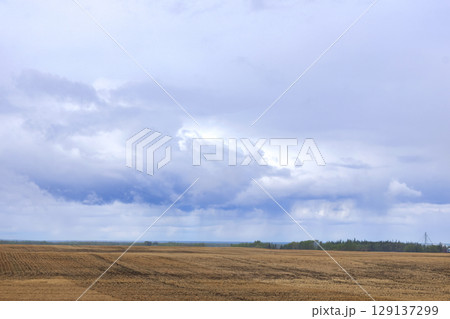 Agricultural field with stubbles and cloudy sky with rain in spring. Agricultural field with stubbles and cloudy sky with rain in spring. 129137299