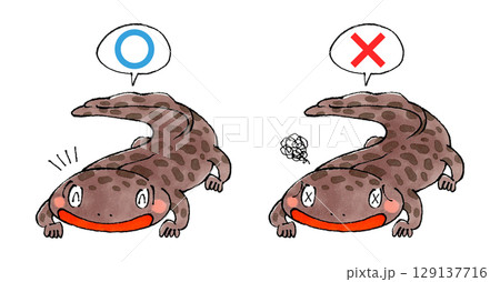 山椒魚マルバツセット 129137716