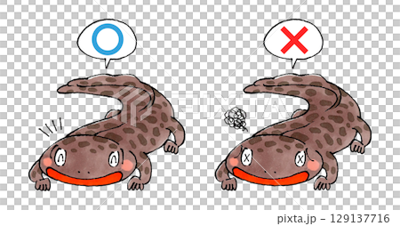 山椒魚マルバツセット 129137716