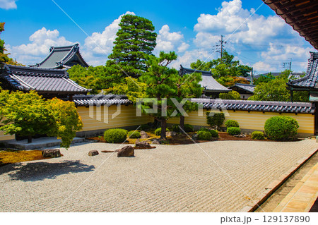 【京都風景】等持院　一人静かに眺める庭に心が和む 129137890