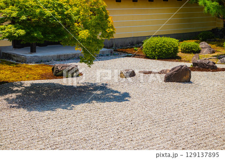 【京都風景】等持院　一人静かに眺める庭に心が和む 129137895